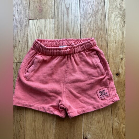 Tea Collection & Zara Toddler Boy Outfit 3T Olive Iguana Tshirt Orange Shorts - Picture 5 of 9